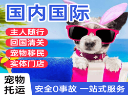 锦州航空托运国际宠物托运 【国